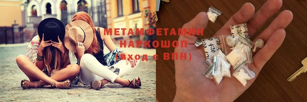 молекула духа Вяземский