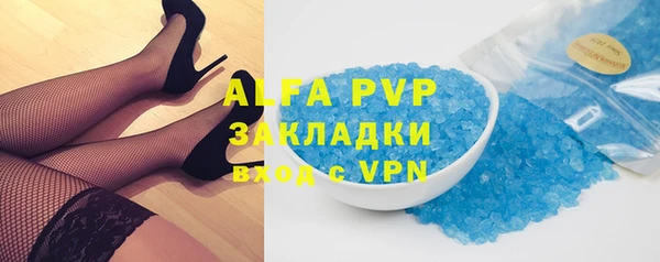 молекула духа Вяземский