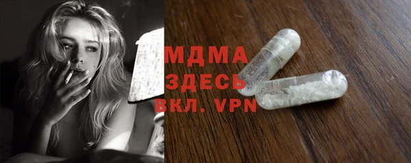 молекула духа Вяземский