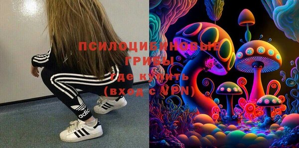мдпв Вязники