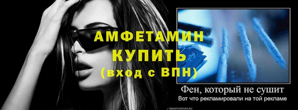 молекула духа Вяземский