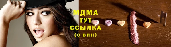 молекула духа Вяземский