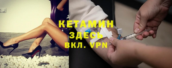 молекула духа Вяземский