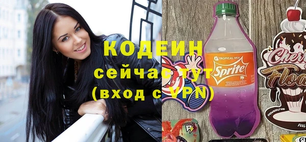 молекула духа Вяземский