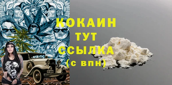 молекула духа Вяземский