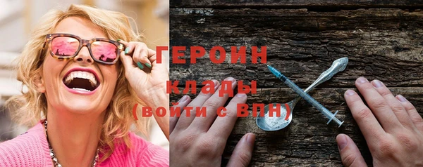 молекула духа Вяземский