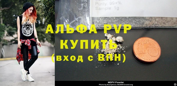 молекула духа Вяземский