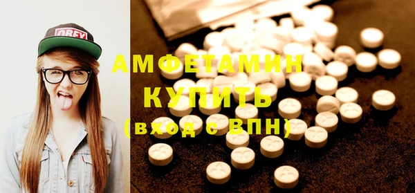 молекула духа Вяземский