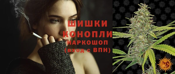 мдпв Вязники