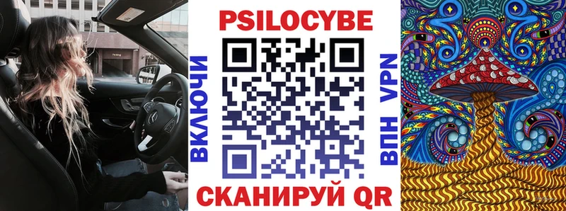 Купить  Кировск  Галлюциногенные грибы Psilocybe 